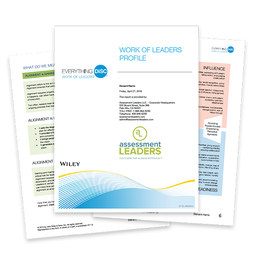 Work of Leaders Everything DiSC Assessment example